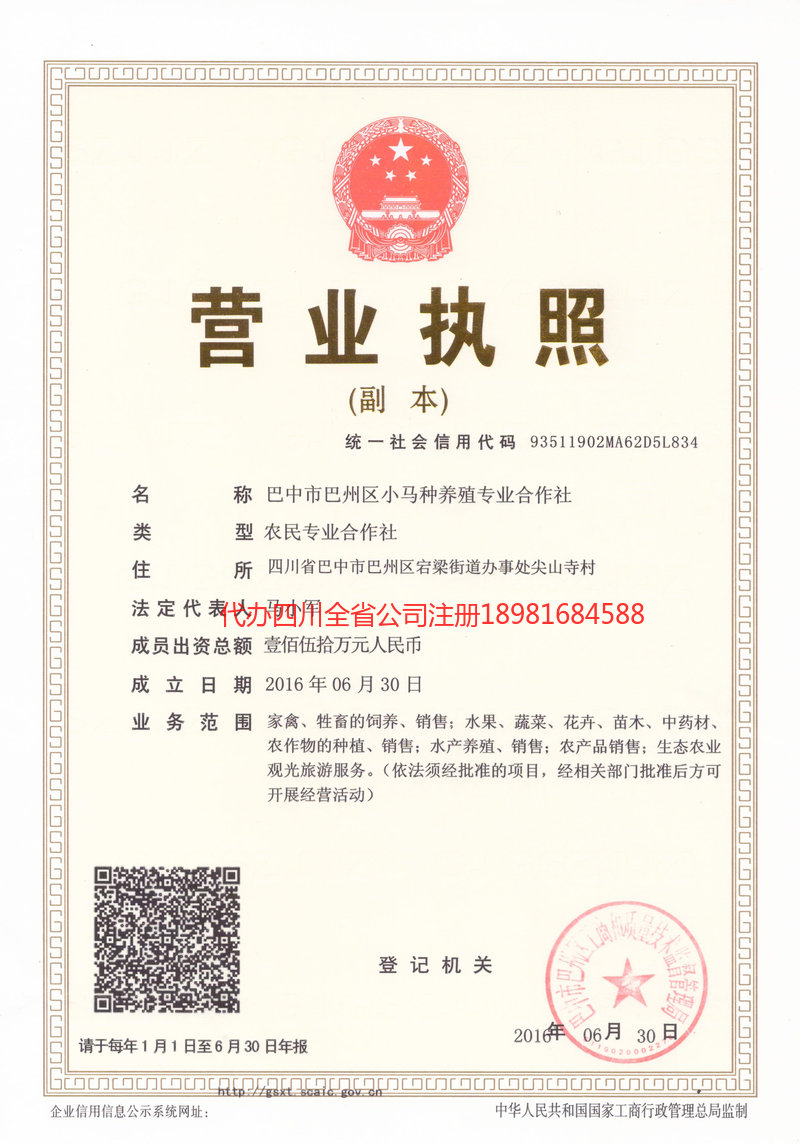 北海北海小马种养殖专业合作社